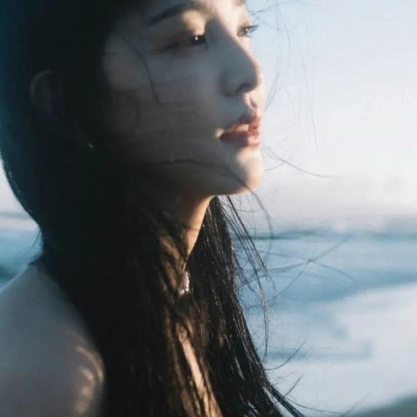 盗贴人生